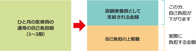 ひと月の医療費の通常の自己負担額(1~3割) 高額療養費として支給される金額 自己負担限度額